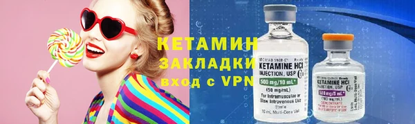прущие грибы Саяногорск