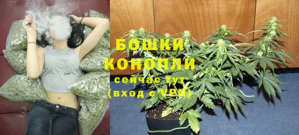 сатива Абдулино