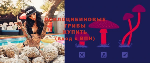 сатива Абдулино
