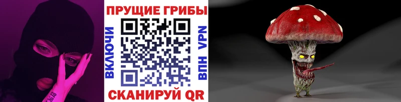 Галлюциногенные грибы прущие грибы  Игарка 