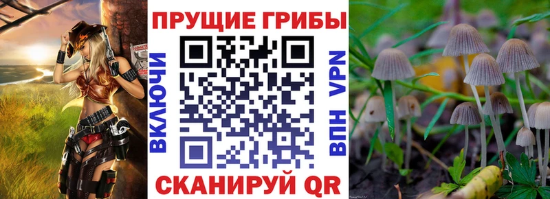 Галлюциногенные грибы ЛСД Игарка